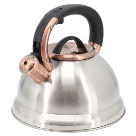 Mr. Coffee Flintshire 2.2 Quart Stainless Steel Whistling Tea Kettle in Silver