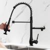 Single Handle Standard Pull Down Kitchen Faucet  Spray in Black