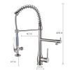 Single Handle Standard Pull Down Kitchen Faucet  Spray in Black