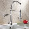 Single Handle Standard Pull Down Kitchen Faucet  Spray in Black